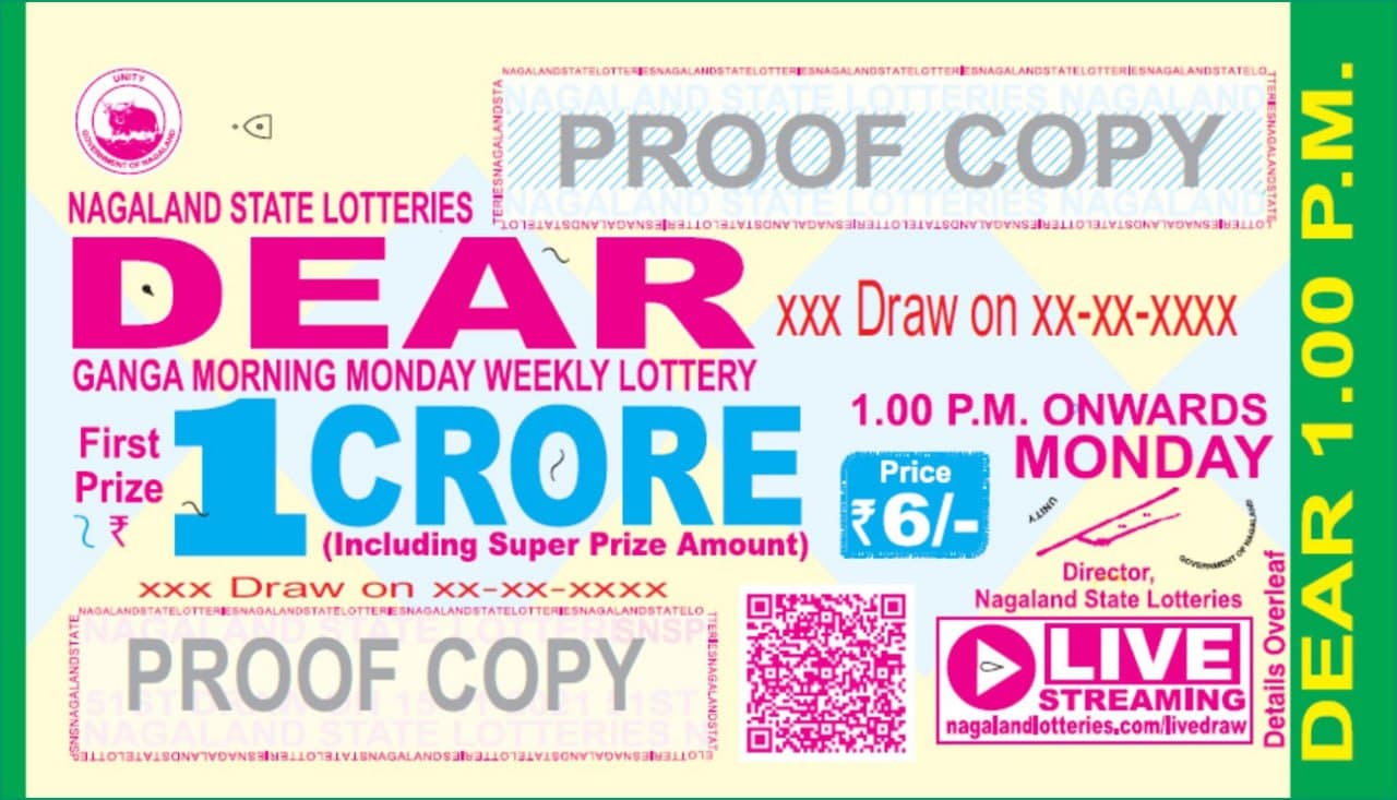 Nagaland State Lottery Result: February 18, 2024, 8 PM Live - Watch  Streaming Of Winners List Of Dear Toucan Sambad Night Sunday Lucky Draw